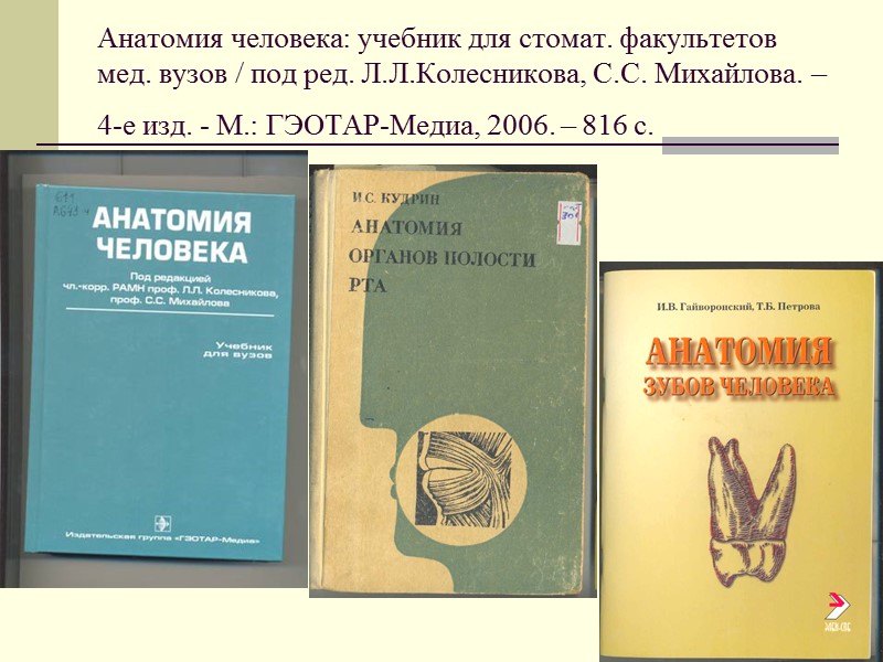 Анатомия человека: учебник для стомат. факультетов мед. вузов / под ред. Л.Л.Колесникова, С.С. Михайлова.